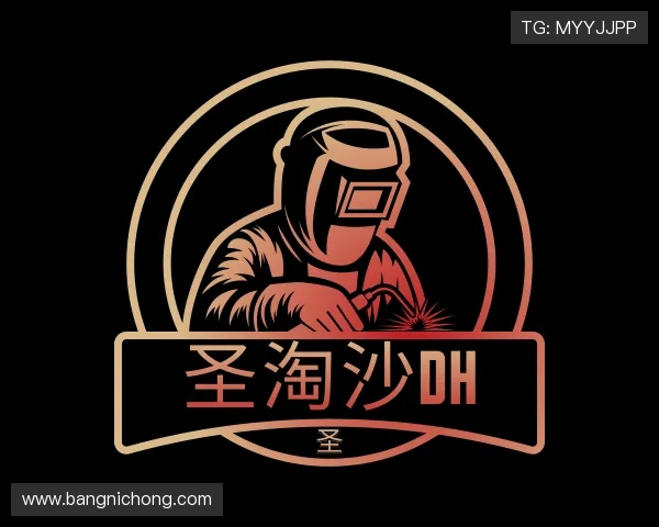 了解圣淘沙dh